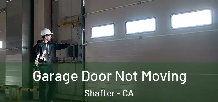  Garage Door Not Moving Shafter - CA